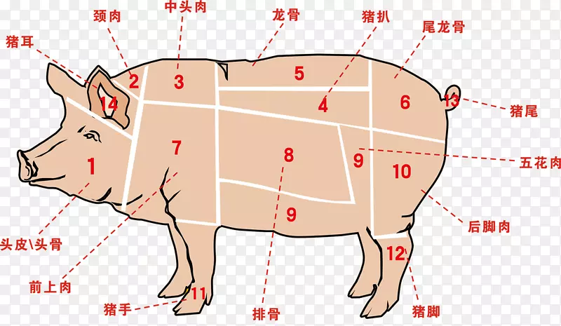 农业畜牧业农家土猪肉分割种类解