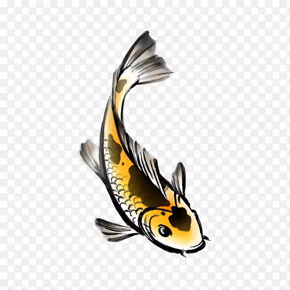 黄色鲤鱼