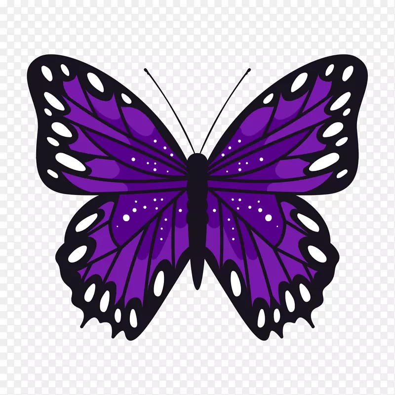 紫黑色点状昆虫蝴蝶