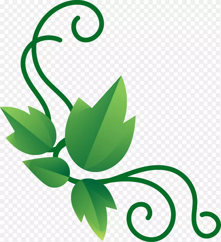 绿环花藤装饰图案