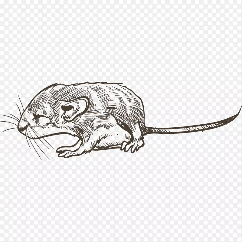一只素描的小老鼠