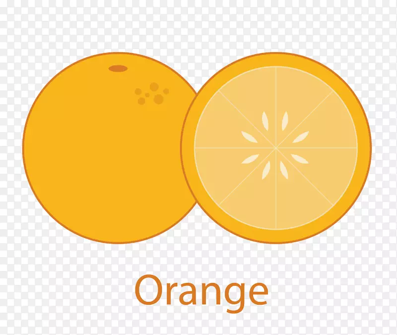 矢量黄色水果橙子