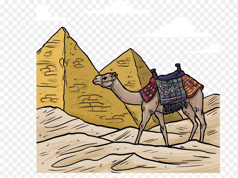 矢量彩绘埃及金字塔和骆驼素材