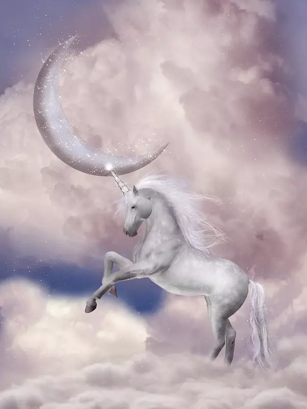 月亮与白马