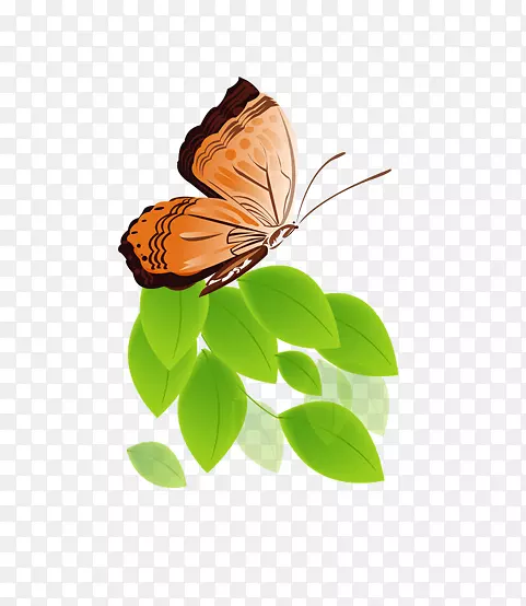 卡通手绘美丽的蝴蝶