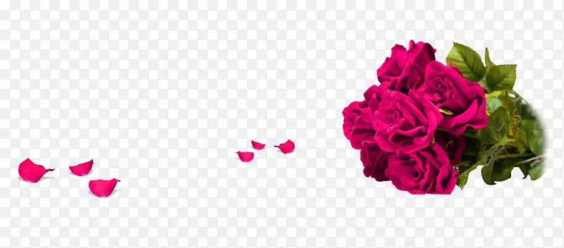 紫色玫瑰花束花瓣装饰图案