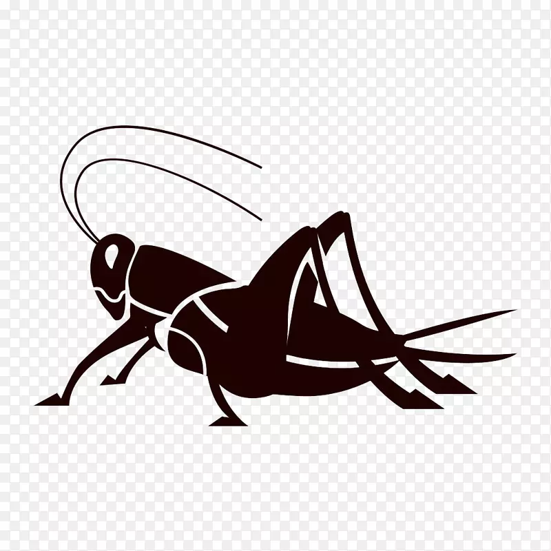 蟋蟀昆虫