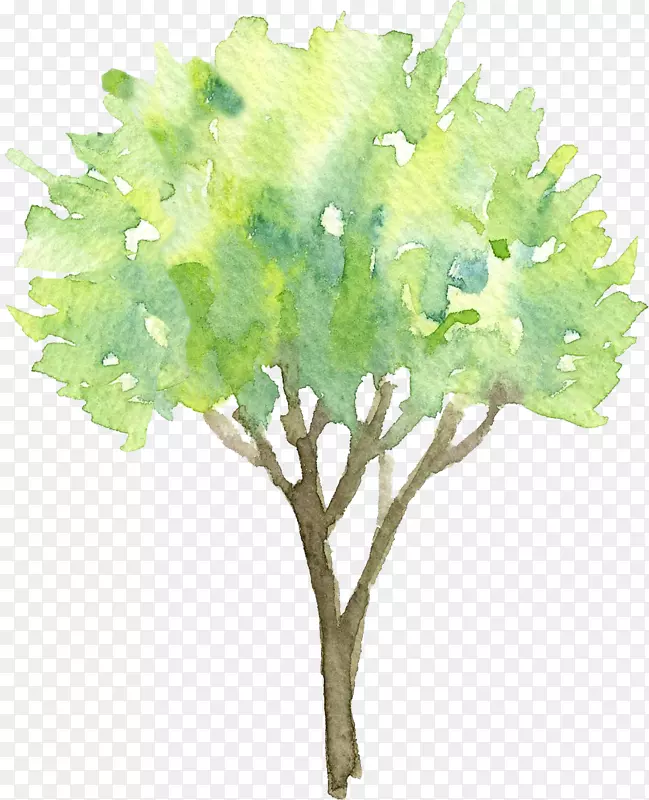 清雅的手绘水彩树