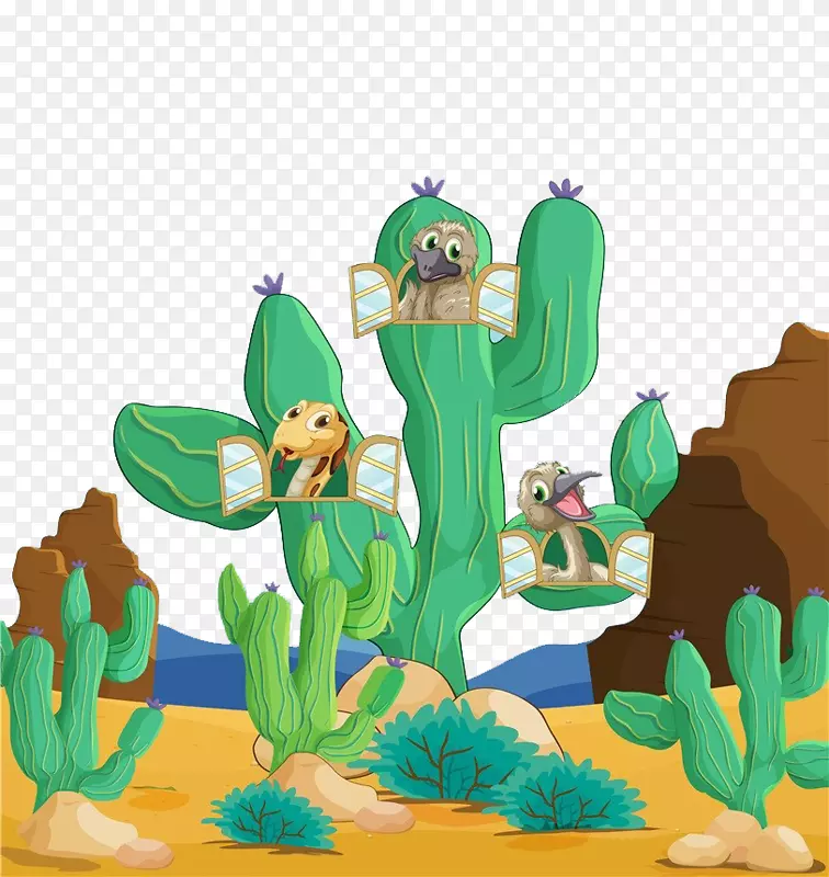 沙漠上的动植物