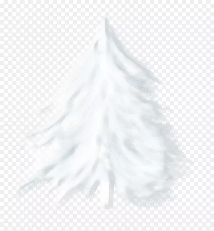 白色松树