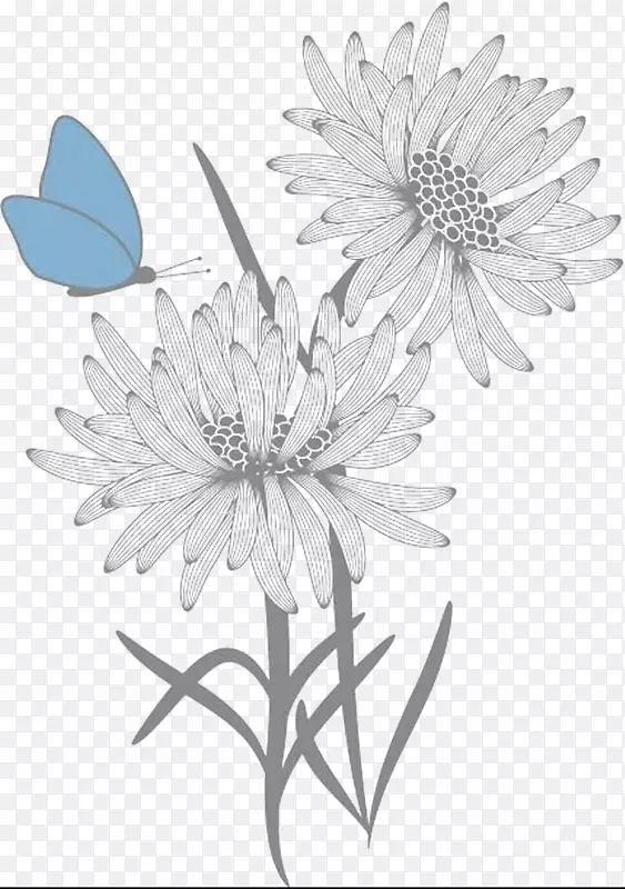 菊花和蓝色蝴蝶线描画