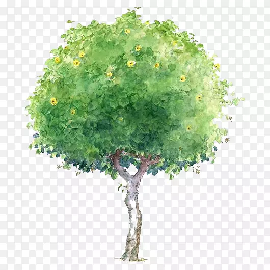 卡通树木元素绿色树木元素