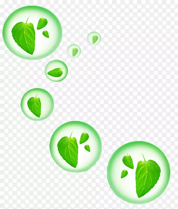 绿色环保树叶气泡