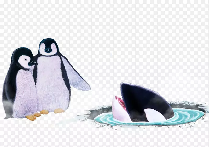 彩铅企鹅与鲨鱼