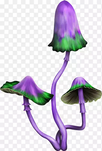紫色毒蘑菇