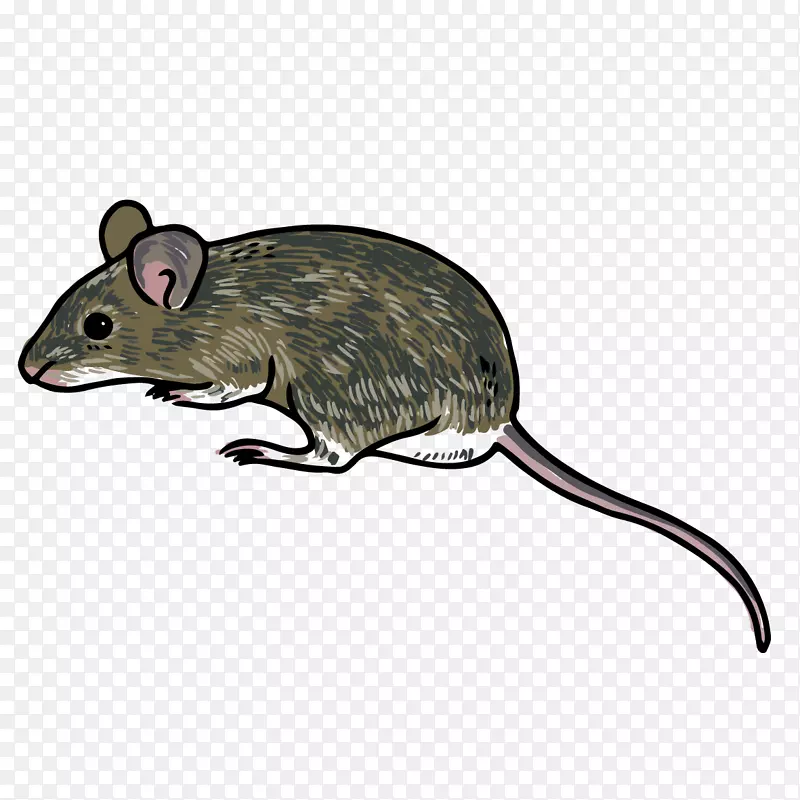 卡通手绘黑色的小老鼠