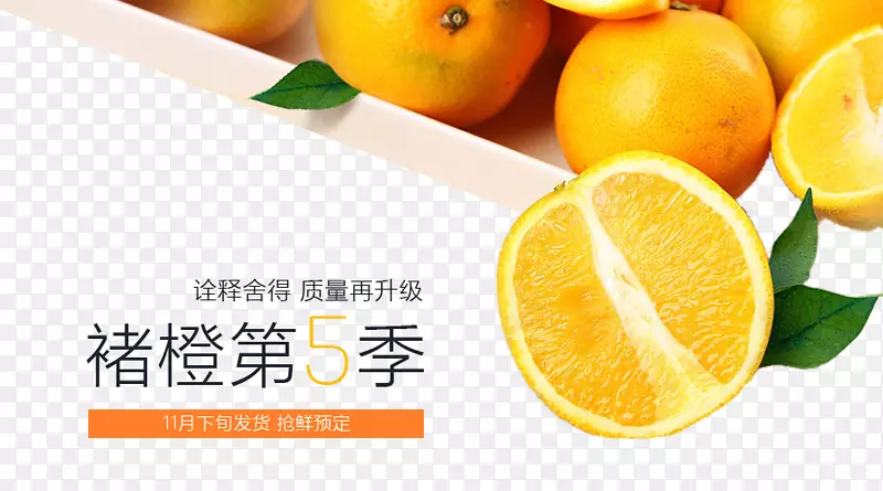 橙子banner