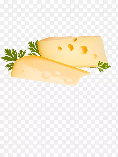 固体奶酪