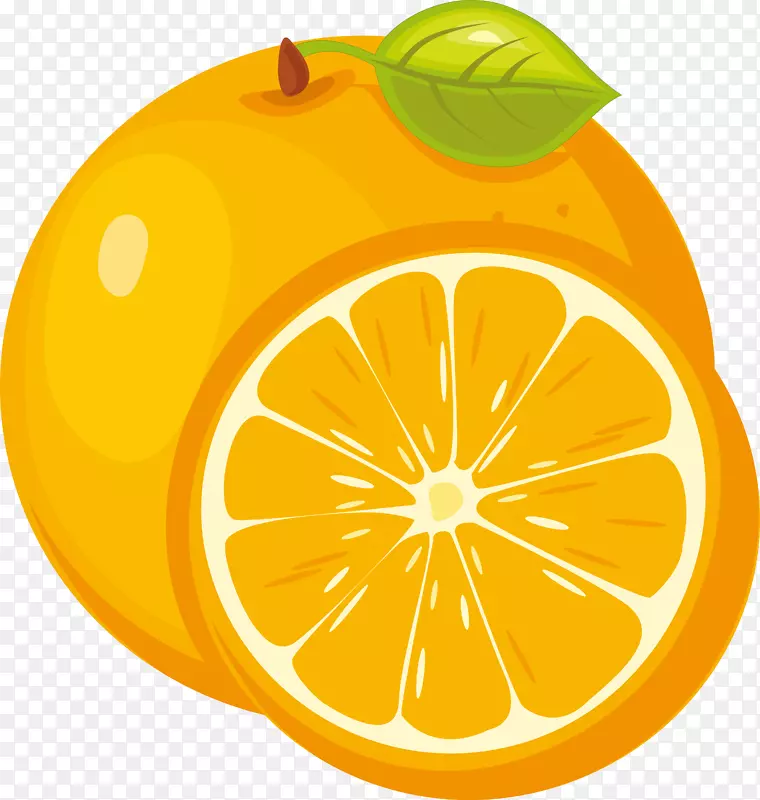切开的橙子png图