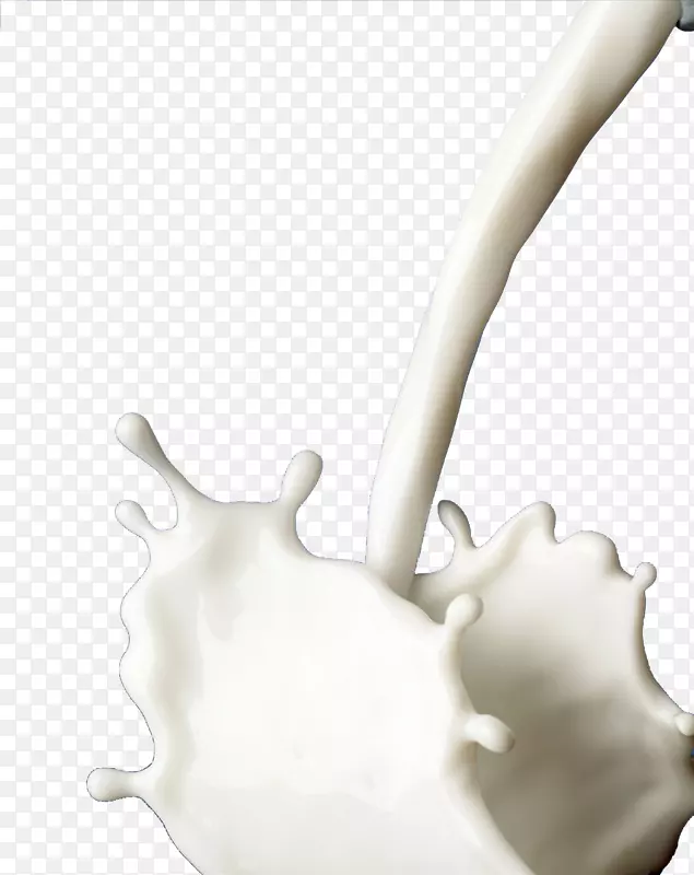 飞渐的牛奶