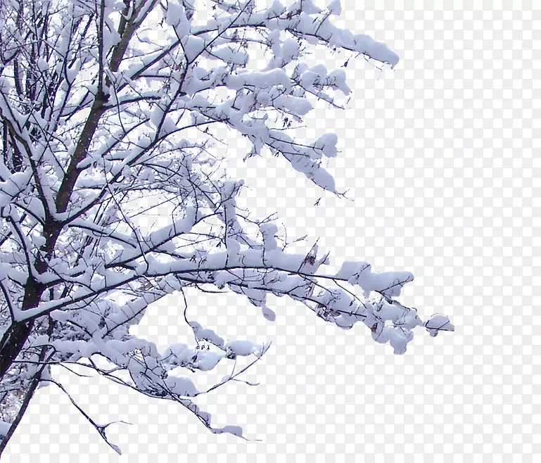 冬季树枝贺卡设计