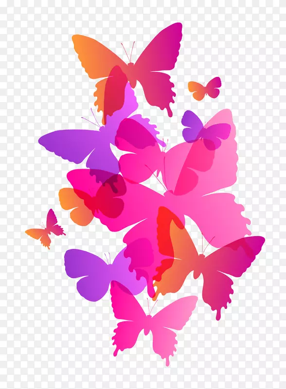时尚彩色的蝴蝶插画