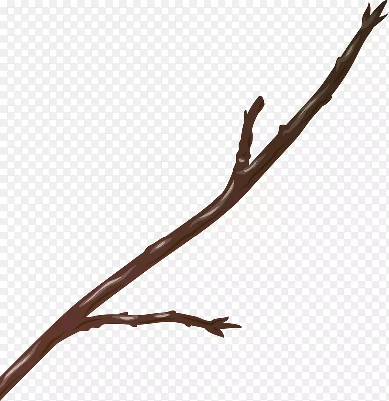 一根褐色树枝