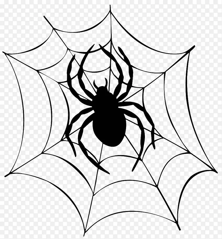 黑色卡通手绘蜘蛛网