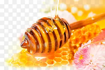 养生天然蜂蜜花朵蜂巢高清
