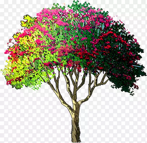 油画风格开花的乔木树木效果