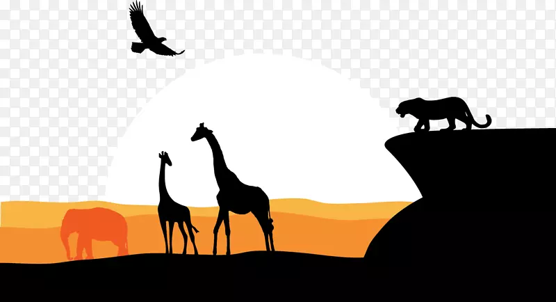 非洲猎豹长颈鹿雄鹰草原远景