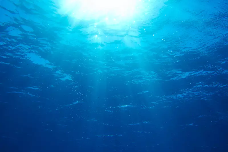 水下摄影水底世界