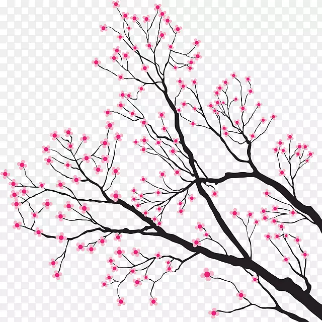 梅花缠绕的树枝