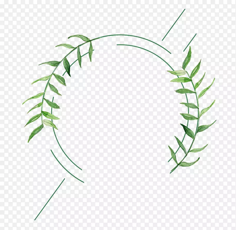 手绘夏日树枝绿叶装饰圆环边框