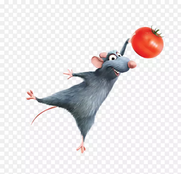 手绘拿番茄的灰色老鼠