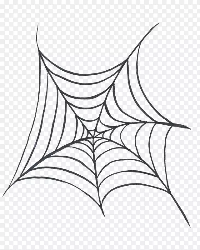 卡通蜘蛛网矢量图下载