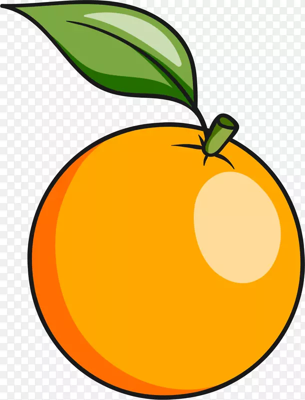 夏季卡通橙色橙子