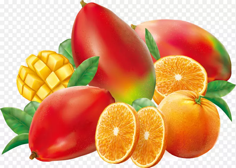 矢量芒果橙子