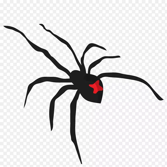 手绘黑寡妇蜘蛛