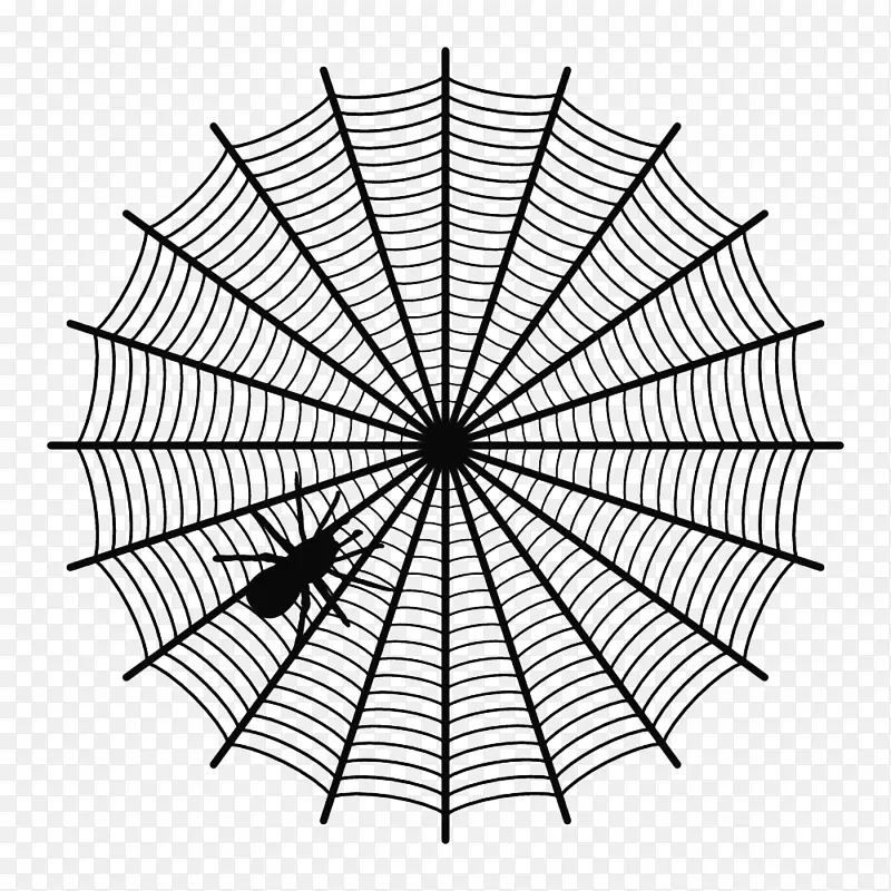 手绘网状黑色蜘蛛丝