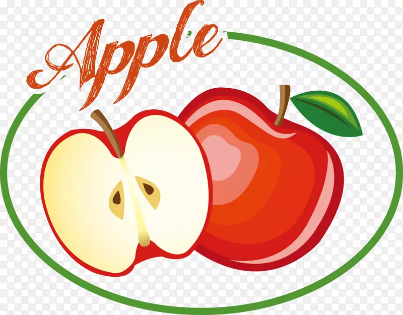 水果标签矢量素材--苹果