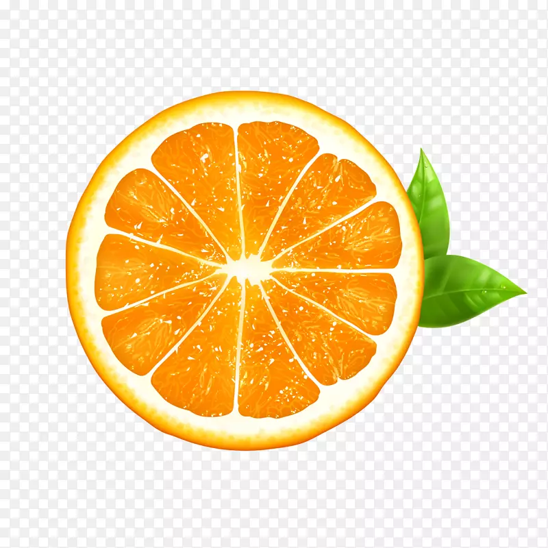 切开的橙子水果矢量图