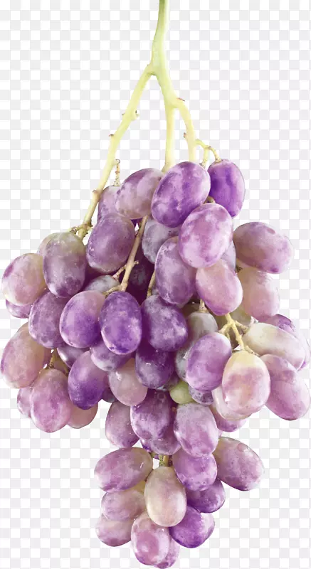 紫色漂亮葡萄