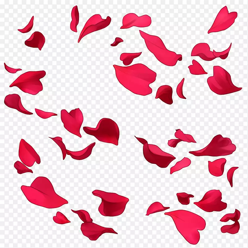 飘落的红色花瓣