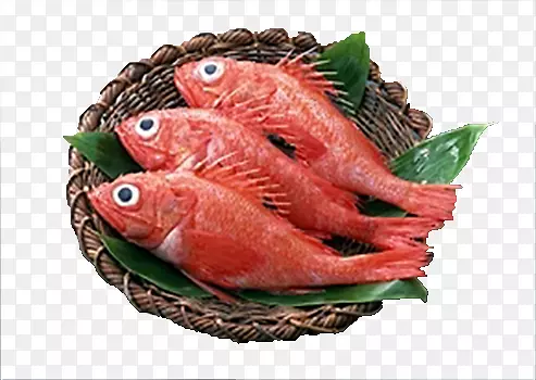 小红鱼
