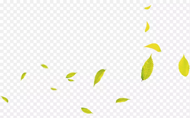 飞舞飘扬的嫩绿树叶
