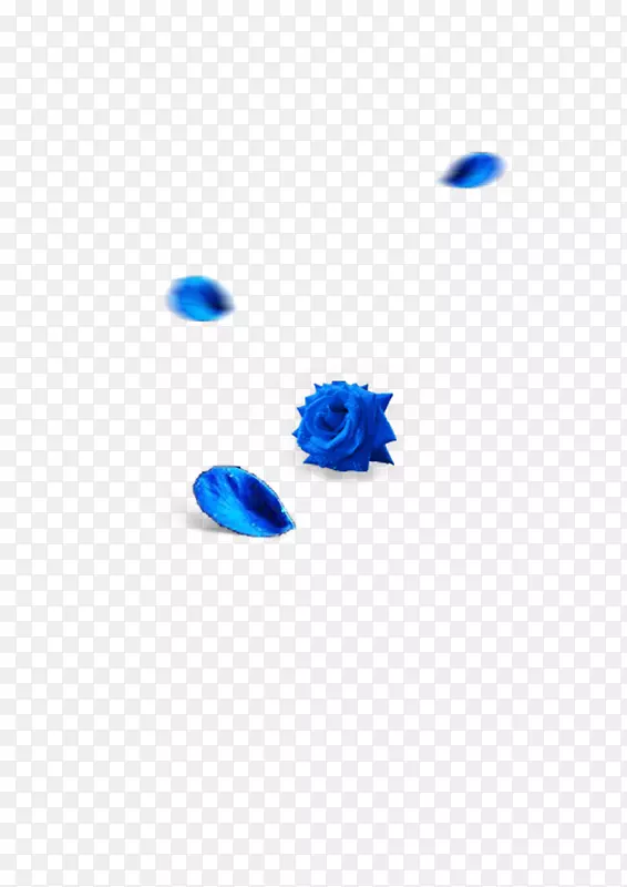 蓝色飘浮的玫瑰