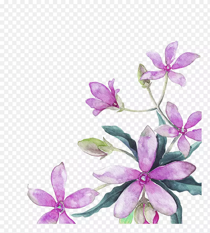 淡紫色清新花朵装饰图案