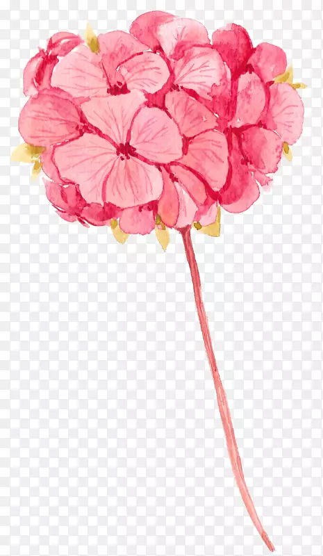 粉红色手绘花朵插画