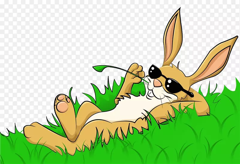 兔子在杂草中休息
